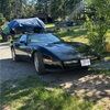 austinmcgee864